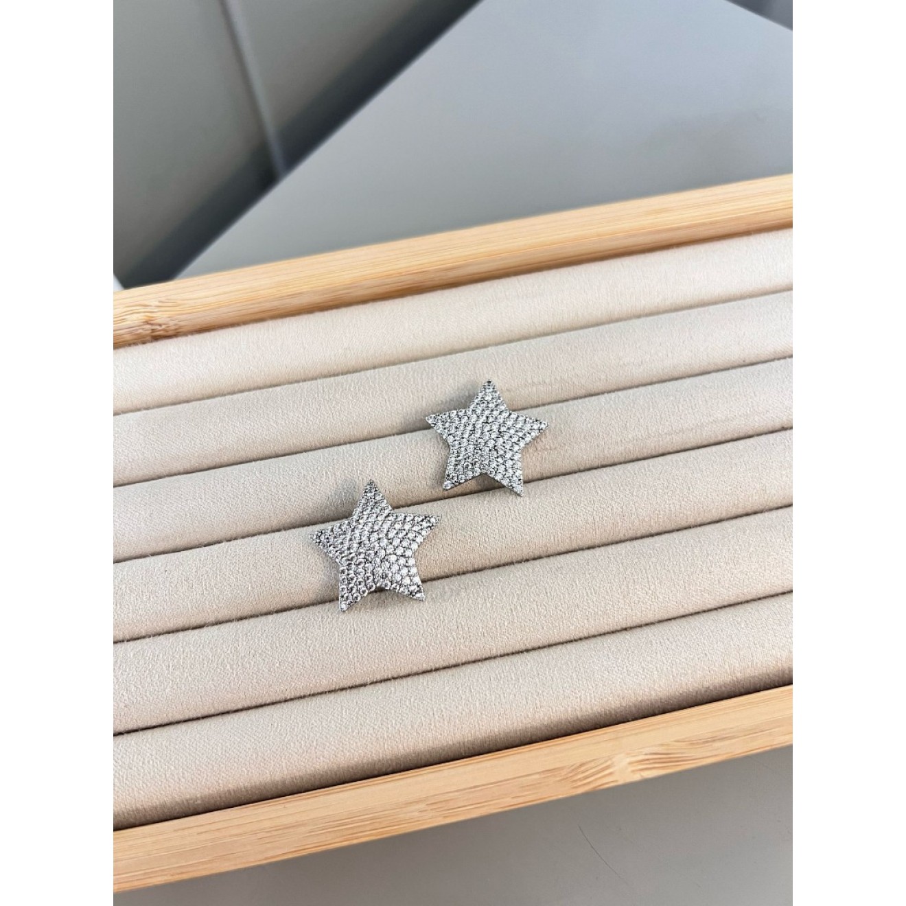Silver Taşlı Çelik Yıldız Küpe